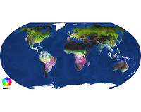 Spotlight on the pulse of our planet