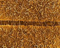 The next generation of carbon monoxide nanosensors