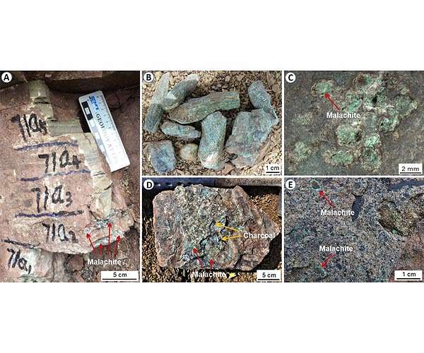 Scientists identify new force behind past mass extinction event