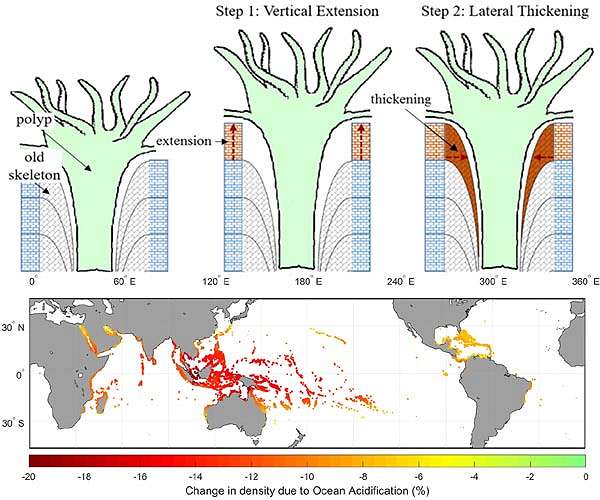 World's oceans near critical acidification level: report