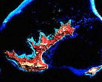 Corals And Climate Change