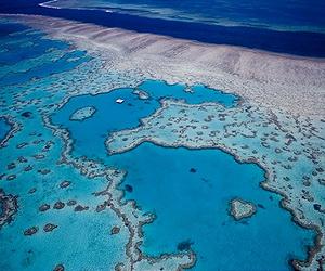 Where can coral reefs relocate to escape the heat?