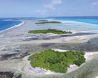 Rising sea levels may build, rather than destroy, coral reef islands