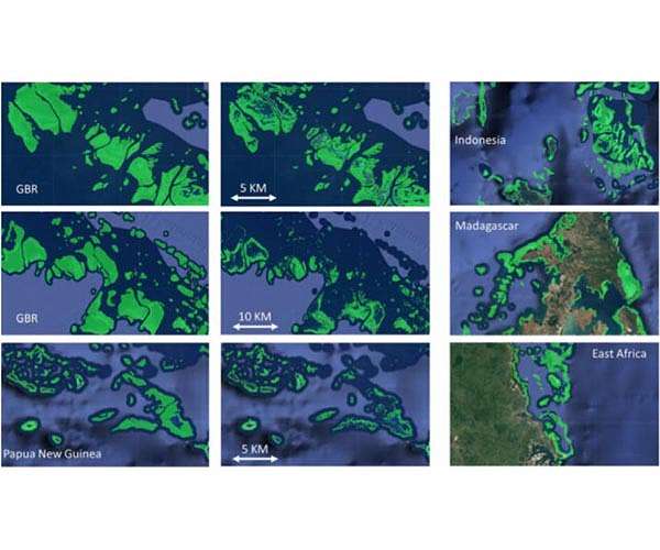 Study: Coral reefs' protection saves U.S. property owners billions each year