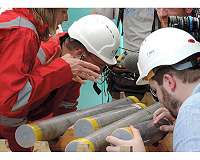 Chicxulub : a unique crater to elucidate planetary surfaces