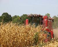 New UT study highlights environmental, economic shortcomings of federal biofuel laws