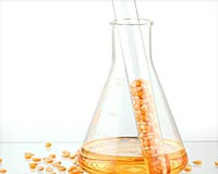 The US Leads Global Ethanol Consumption