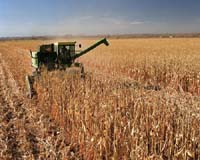 Analysis: Biofuels law attracts opposition