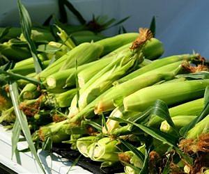 Argentine corn exports blocked by China