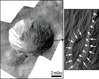 Gullies on Vesta Suggest Past Water-Mobilized Flows