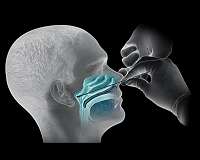 Virus already in Italy by December, sewers show