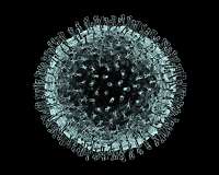 Coronavirus vaccine: reasons to be optimistic