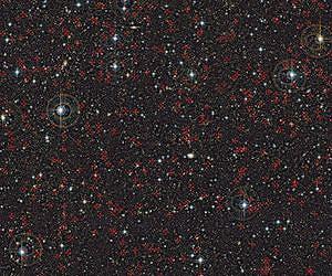 What Activates a Supermassive Black Hole?