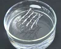 Cotton candy capillaries lead to circuit boards that dissolve when cooled
