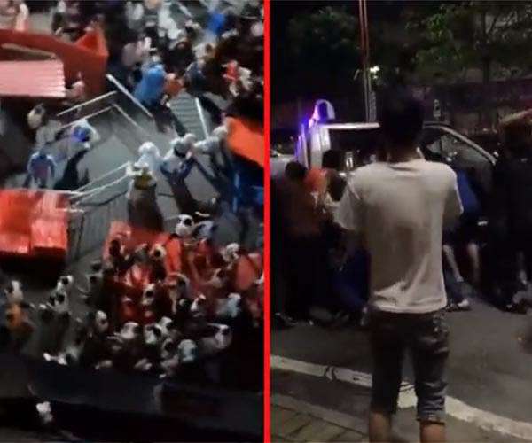 Protests across China as anger mounts over zero-Covid policy