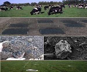 Can Biochar Help Suppress Greenhouse Gases