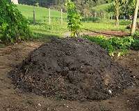 Manure could heat your home