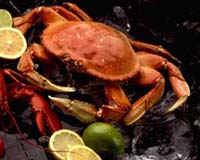 InSync Software Releases GREENTrace Food Safety Management Solution For The Fresh Food Industry