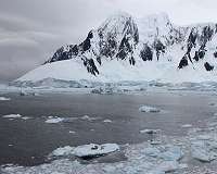 Antarctic seals can help predict ice sheet melt