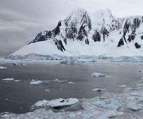 Seals help scientists survey Antarctica's disappearing glaciers