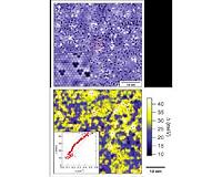 Self-destructive effects of magnetically-doped ferromagnetic insulators