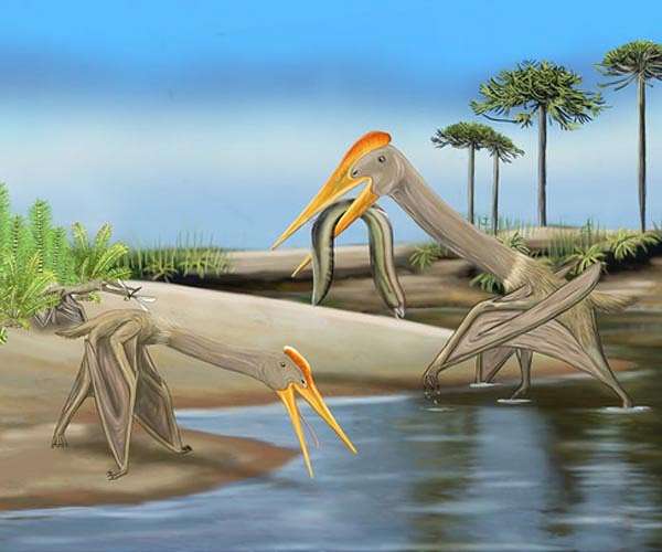 Early Cretaceous shift in the global carbon cycle affected both land and sea