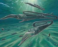 Antarctic fossils reveal south was not safer during dinosaur extinction