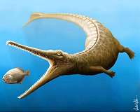 Jurassic crocodile species identified 250 years after fossil discovery