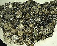 Why is the Earth's F Cl ratio not chondritic?