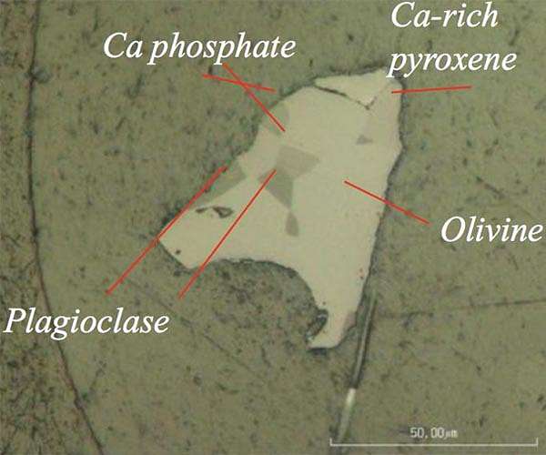 Organic materials essential for life on Earth are found for the first time on the surface of an asteroid