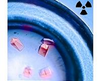 Contamination pathway for plutonium, other heavy elements, identified