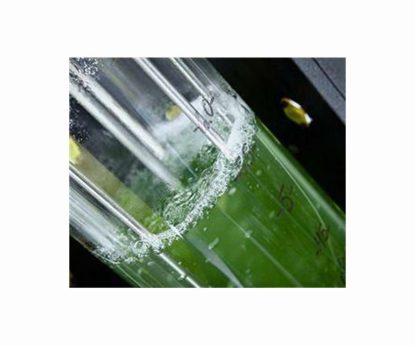 MIT engineers solve the sticky-cell problem in bioreactors and other industries