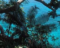 Philippine coastal zone research reveals tropical cyclone disruption of nutrient cycling