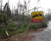 Cyclones: Nature's Fury Or Nature's Friend