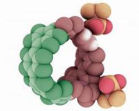New Oregon approach for 'nanohoops' could energize future devices