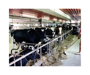A Biological Solution To Animal Pandemics