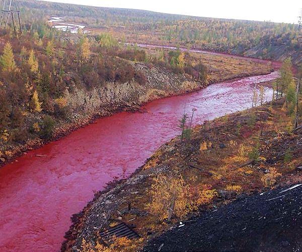 Russian mining giant handed $2bn fine over fuel spill