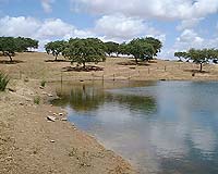 Obsolete Infrastructure Can Help Environment