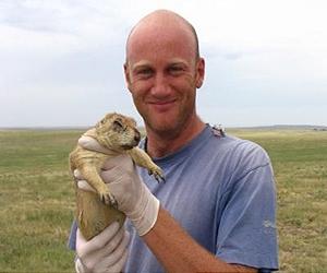 Carnivorous Mice Spread Deadly Plague In Prairie Dog Towns