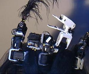 Dancing Robot Swan Triggers Emotions