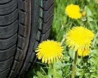 Scientists develop tire-grade rubber that repairs itself