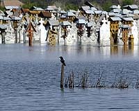 Blue Danube? We're getting there: study