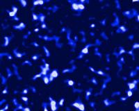 Physicists on cutting edge in search for dark matter