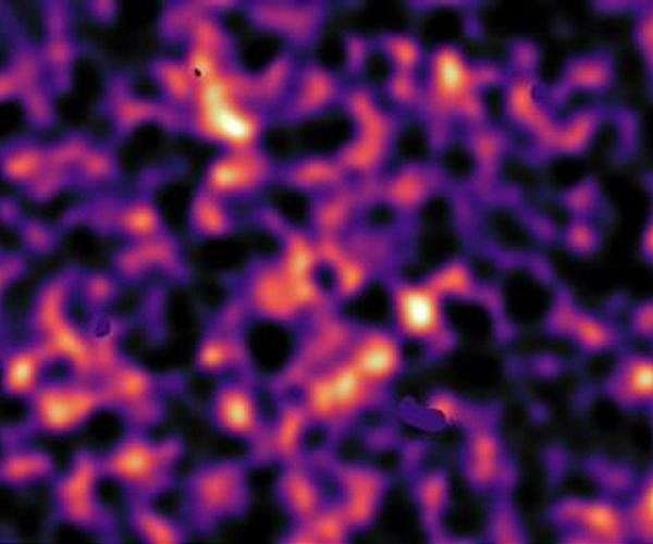 Worldwide coordinated search for dark matter