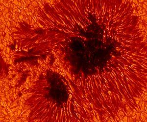 No evidence of planetary influence on solar activity