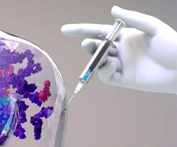 Teams selected to develop vaccine durability prediction tools