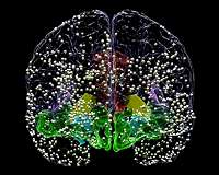 Facebook-backed research sees progress linking minds, machines