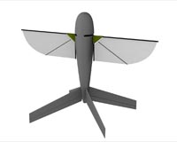 Tiny craft can fly by flapping wings