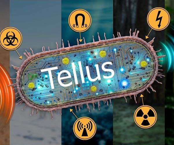 Developing agile, reliable sensing systems with microbes