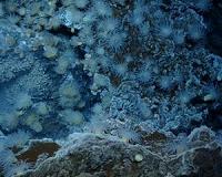 NASA Study Finds Earth's Ocean Abyss Has Not Warmed